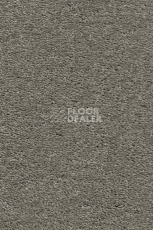 Ковролин AW Invictus Heroicus 92 фото 1 | FLOORDEALER